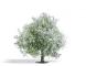 decors Busch Pommier fleuri 75mm decors Busch Pommier fleuri 75mm