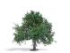 decors Busch Pommier en été 75mm decors Busch Pommier en été 75mm