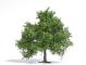 decors Busch Arbre fruitier printemps 95mm decors Busch Arbre fruitier printemps 95mm
