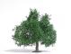 decors Busch Arbre fruitier été 95mm decors Busch Arbre fruitier été 95mm