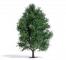 decors Busch Tremble été 150mm decors Busch Tremble été 150mm