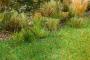 decors Faller Herbe haute decors Faller Herbe haute