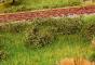 decors Faller Feuillage terrain vert foncé decors Faller Feuillage terrain vert foncé