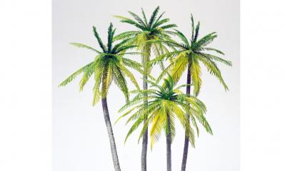 decors Preiser palmiers