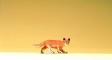 figurine Preiser renard figurine Preiser renard